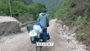 流浪狗跟小夫妻跑了200多公里，以為它想要個家，結果卻為了保