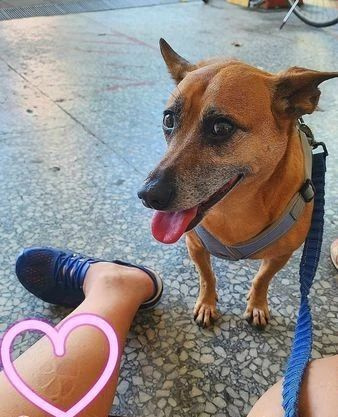 @Ȯָ؟(z)rX؛˕ƬȻؑ|(zh)ɣҵČؐ