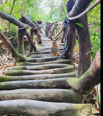 @Ȯָ؟(z)rX؛˕ƬȻؑ|(zh)ɣҵČؐ