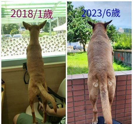 @Ȯָ؟(z)rX؛˕ƬȻؑ|(zh)ɣҵČؐ