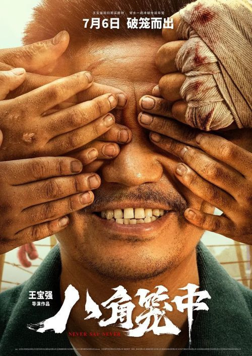 還沒上映票房已破4億，王寶強「真笨」