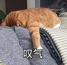 受傷幼獅被母獅拋棄險(xiǎn)餓死，卻憑毅力活了下來，最后…重返獅群成