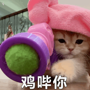 妹子和男友分手后因貓的撫養(yǎng)權(quán)鬧到派出所，最后…為了孩子將就過