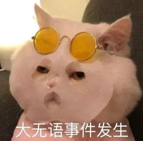 妹子和男友分手后因貓的撫養(yǎng)權(quán)鬧到派出所，最后…為了孩子將就過