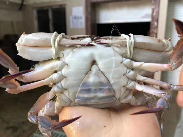 Sңɽз_t͵óԂr