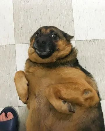 ĘֹwC(j)ɵذӑOСȕ
