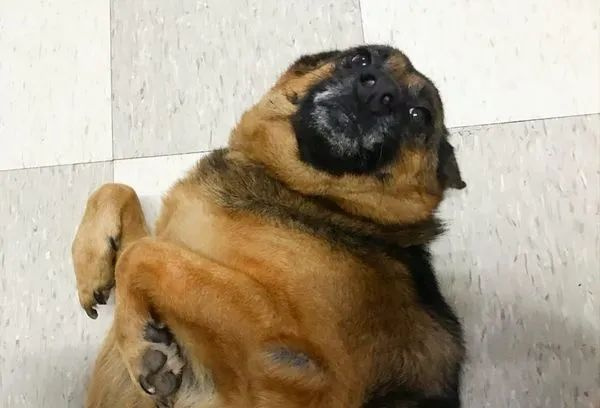 ĘֹwC(j)ɵذӑOСȕ