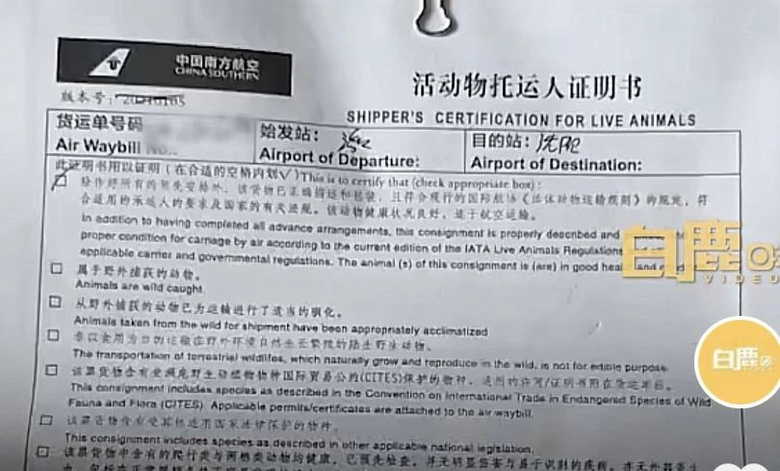 男子帶67只貓狗，跨越3400公里搬家：不想它們被二次遺棄