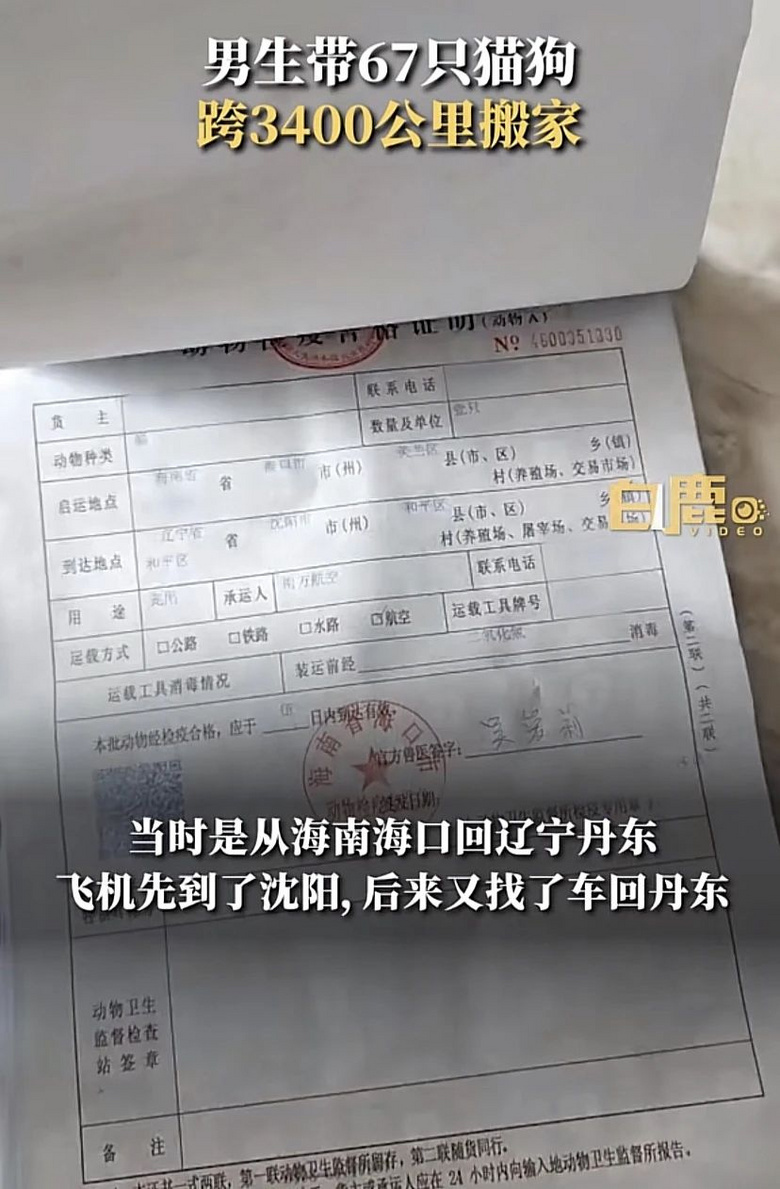 男子帶67只貓狗，跨越3400公里搬家：不想它們被二次遺棄
