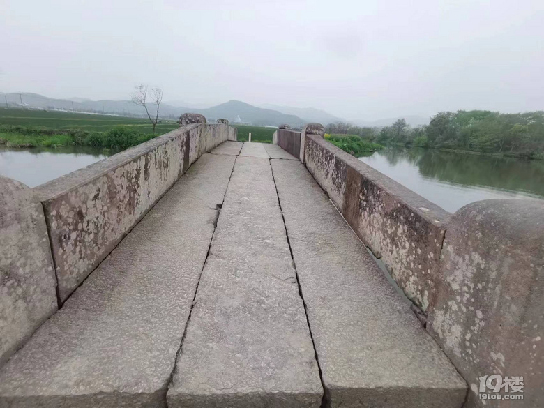 寧波古橋之職湖橋（八）