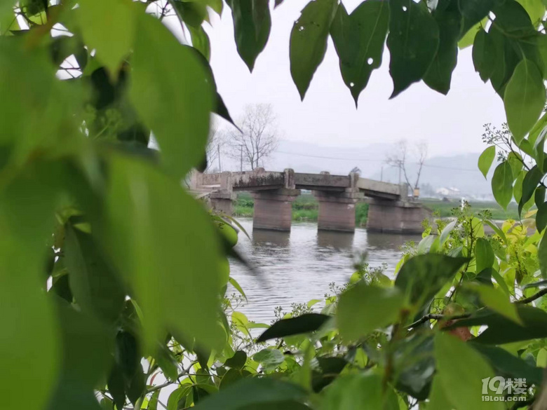 寧波古橋之職湖橋（八）