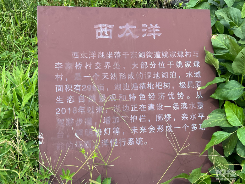 《剪刀手講故事》—東西南北中之西太洋