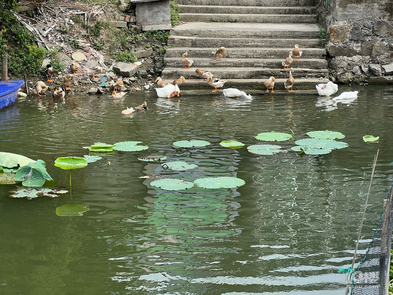 《剪刀手講故事》—東西南北中之西太洋