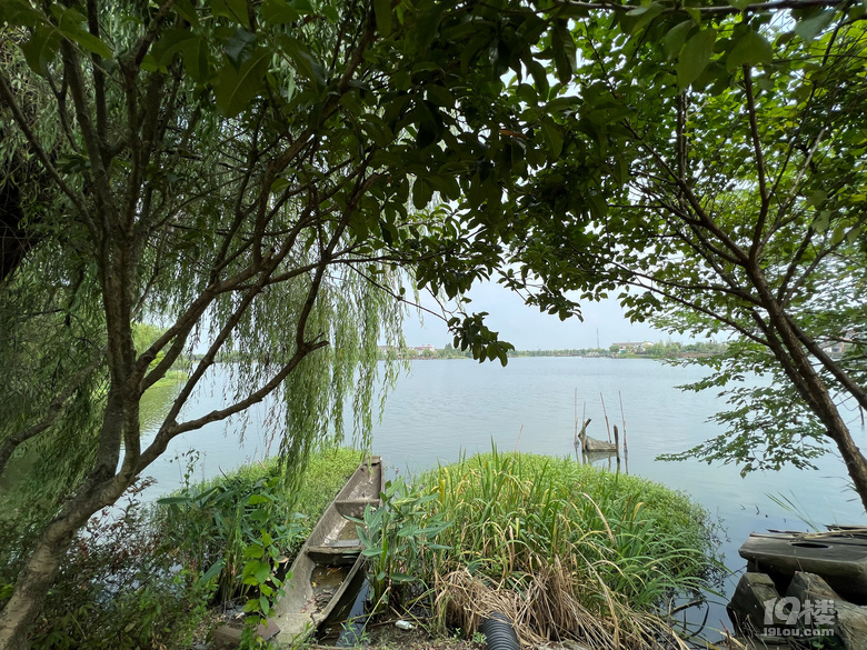 《剪刀手講故事》—東西南北中之西太洋
