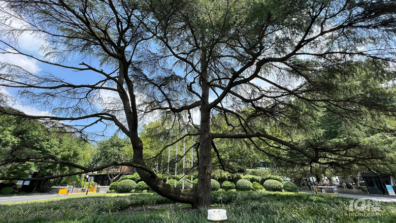 《剪刀手講故事》—西湖軼事