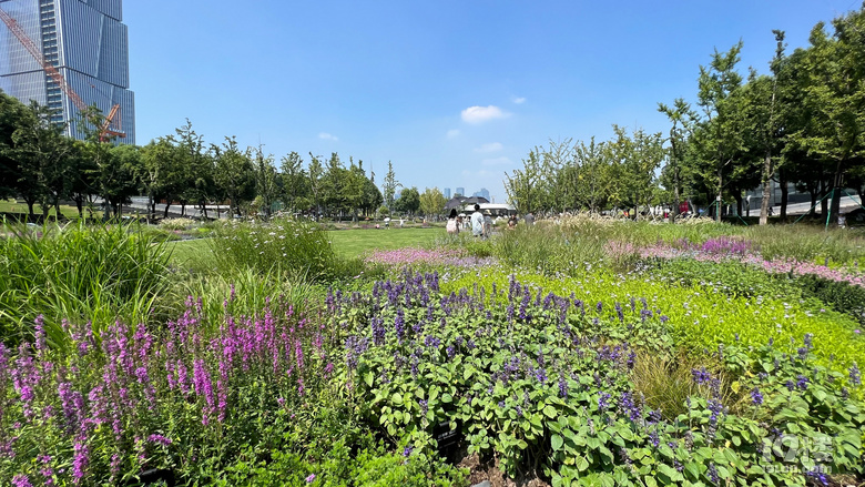 《剪刀手講故事》—大濱江之亞運花園