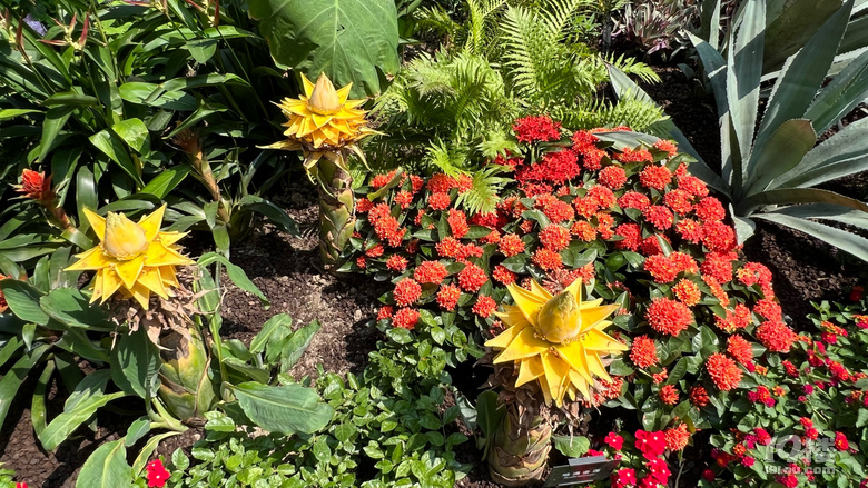 《剪刀手講故事》—大濱江之亞運花園