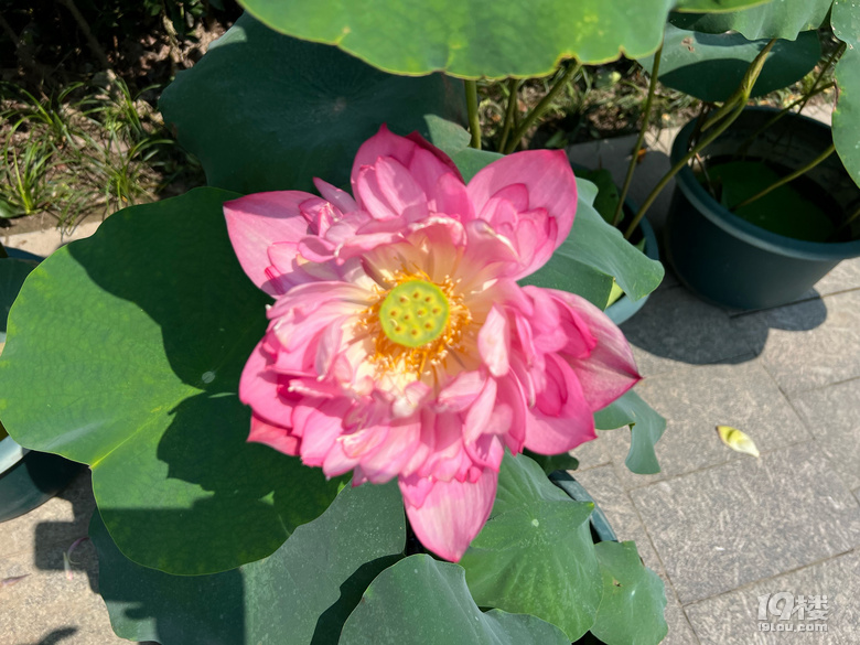 《剪刀手講故事》—大濱江之亞運花園