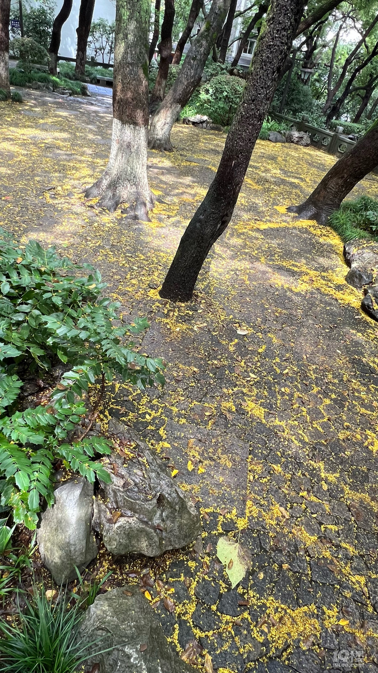 《剪刀手講故事》—北風(fēng)，吹來熟悉的聲音