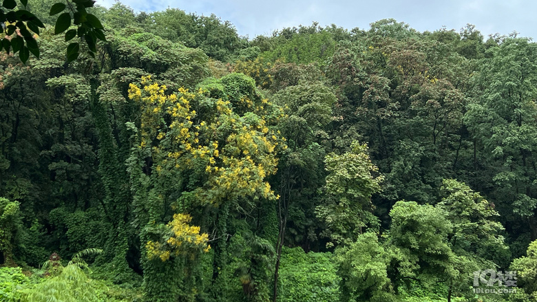 《剪刀手講故事》—北風(fēng)，吹來熟悉的聲音