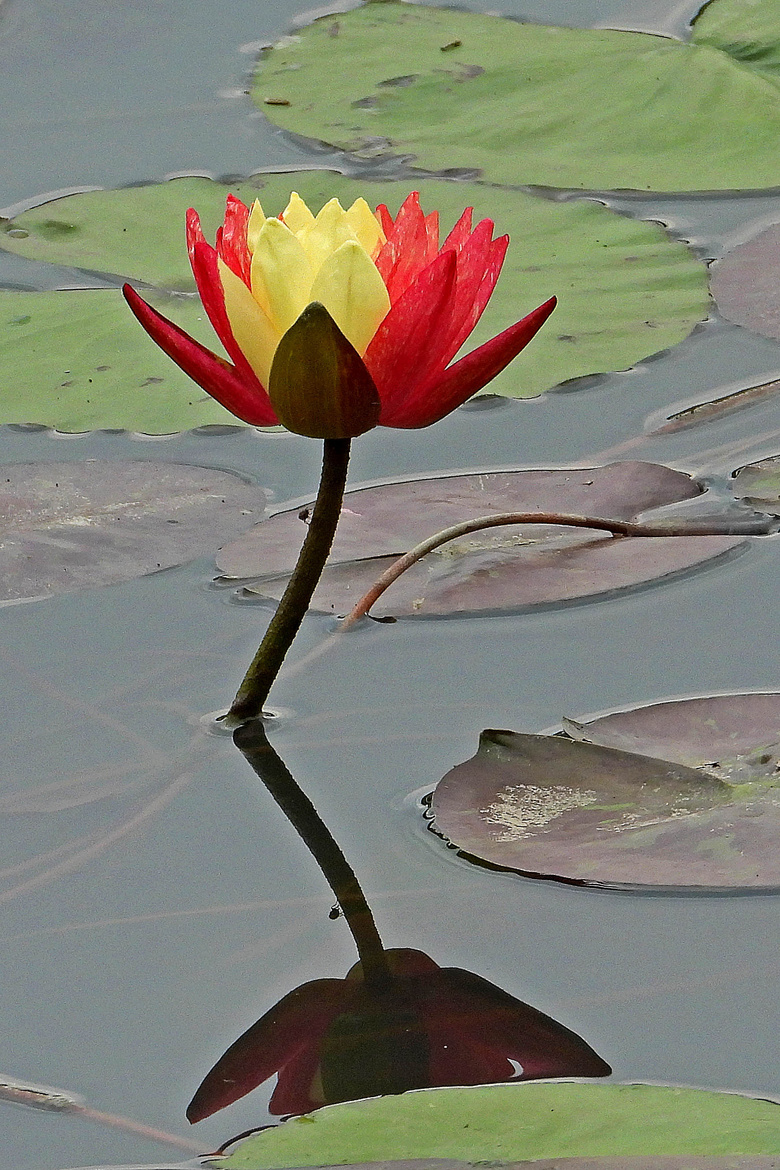 Ϫزɫ˯ɏףp(ji)옷