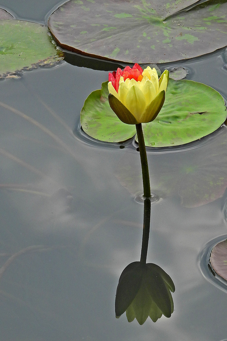 Ϫزɫ˯ɏףp(ji)옷