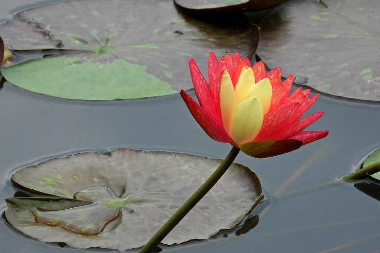 Ϫزɫ˯ɏףp(ji)옷