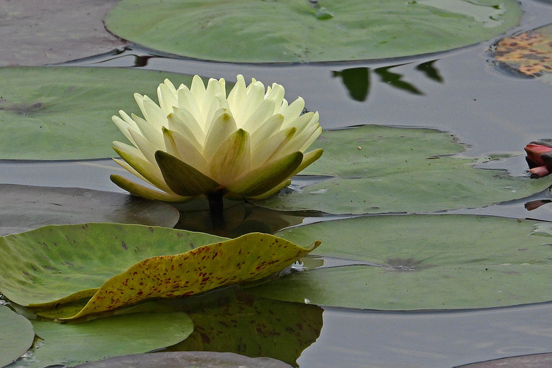 Ϫزɫ˯ɏףp(ji)옷