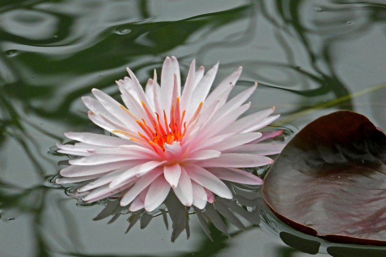 Ϫزɫ˯ɏףp(ji)옷