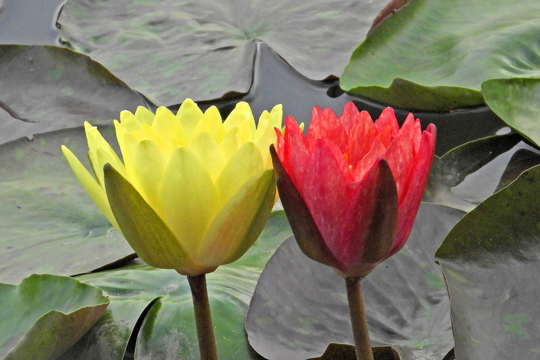 Ϫزɫ˯ɏףp(ji)옷