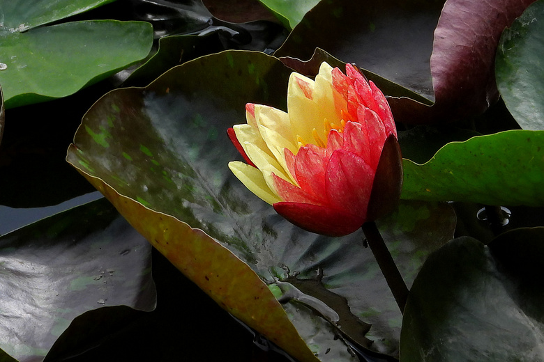 Ϫزɫ˯ɏףp(ji)옷