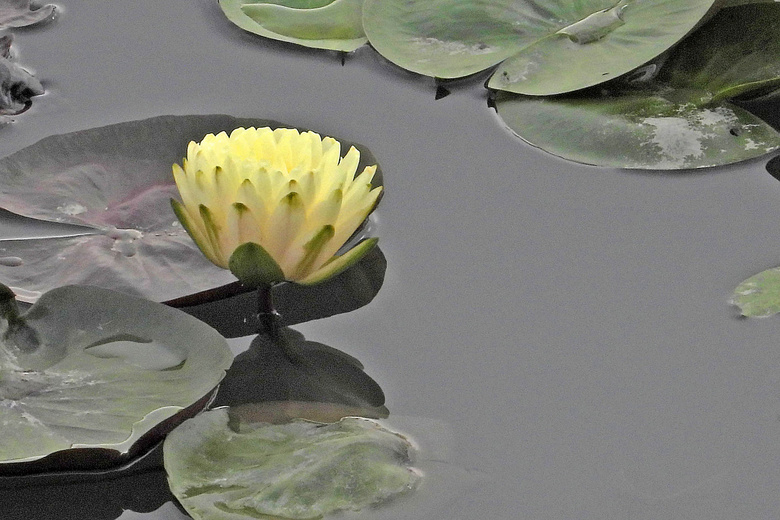 Ϫزɫ˯ɏףp(ji)옷