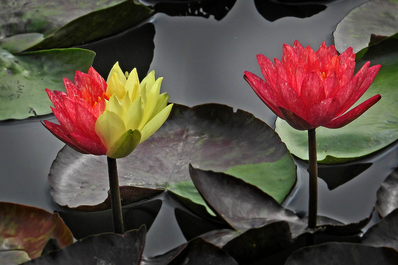 Ϫزɫ˯ɏףp(ji)옷