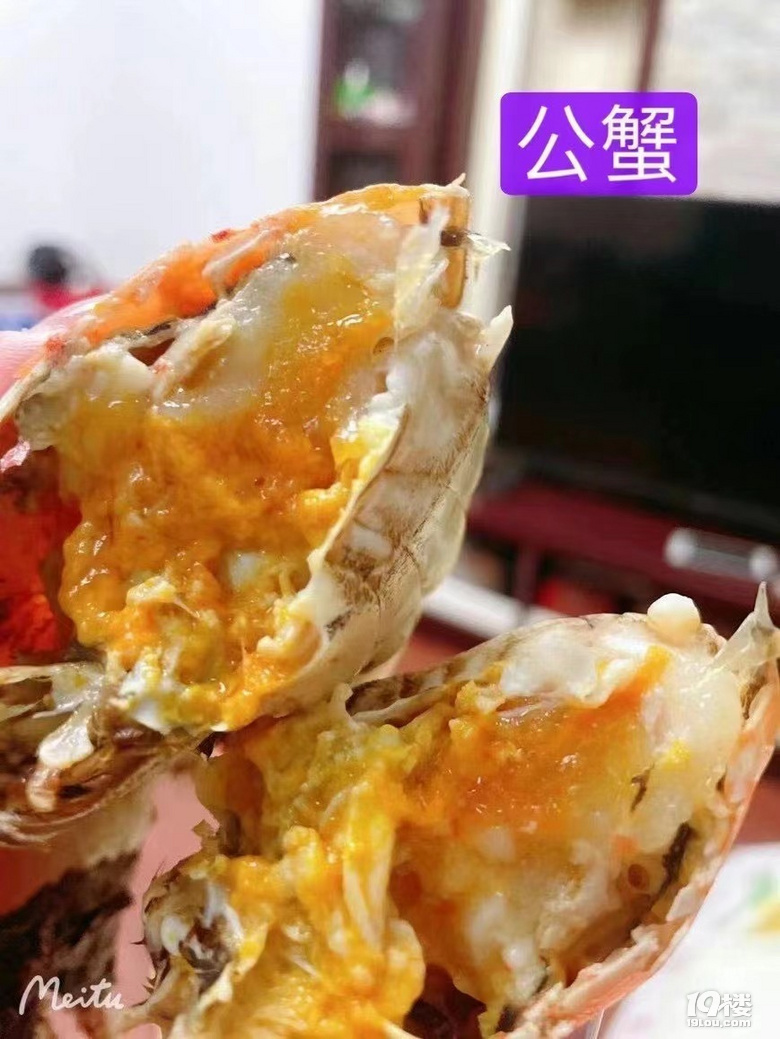 秋風(fēng)起，蟹腳癢