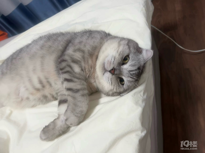 ȫ^(q)ȫrΌTιB(yng)