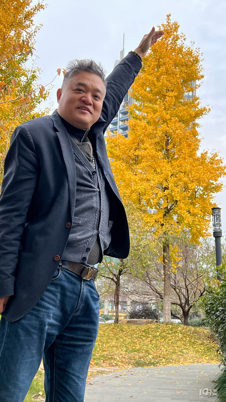 《旅行故事》—杭州銀杏金燦燦