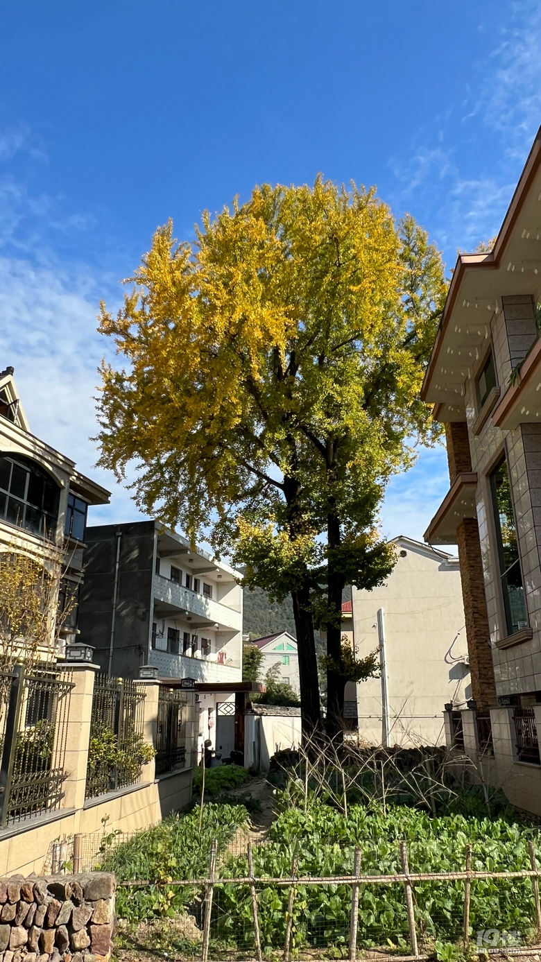《旅行故事》—鳳凰塢