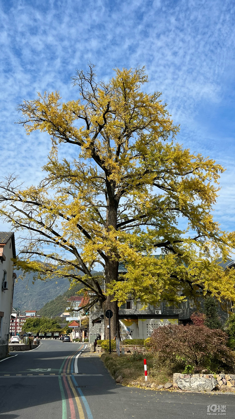 《旅行故事》—鳳凰塢