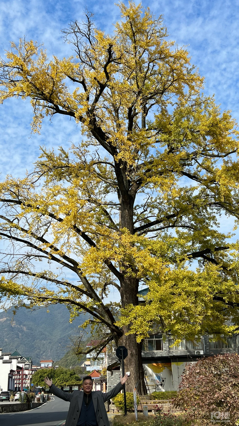 《旅行故事》—鳳凰塢