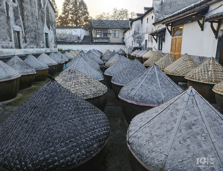 【妞行万里路】第23期：大雪节气，杭衢金一日游