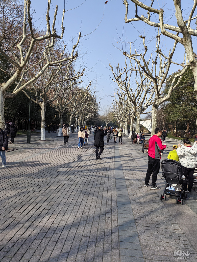 2023年最后一天，元旦小長假第二天，天氣晴好，冬日小陽春.