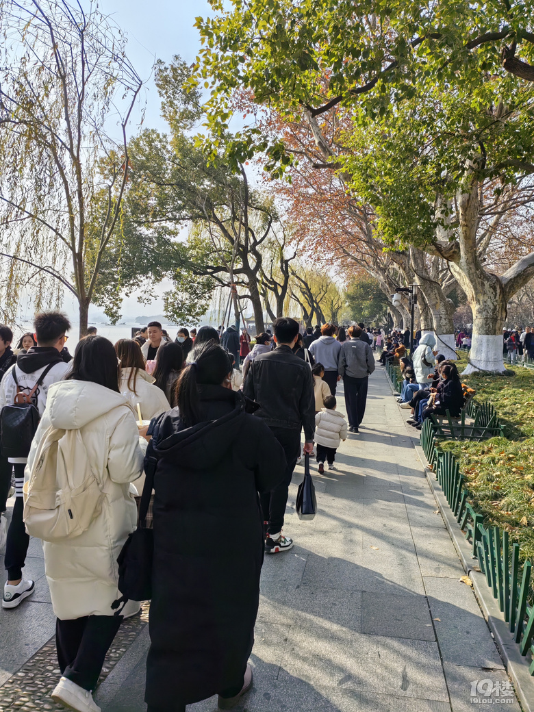 2023年最后一天，元旦小長假第二天，天氣晴好，冬日小陽春.