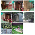蒼南縣藻溪鎮(zhèn)西垟埔村違章不拆嗎？