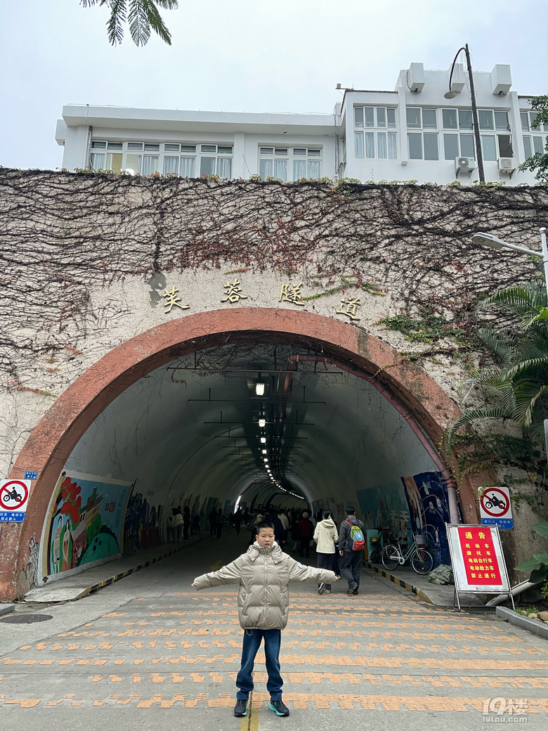 游鼓浪嶼+廈門大學(xué)