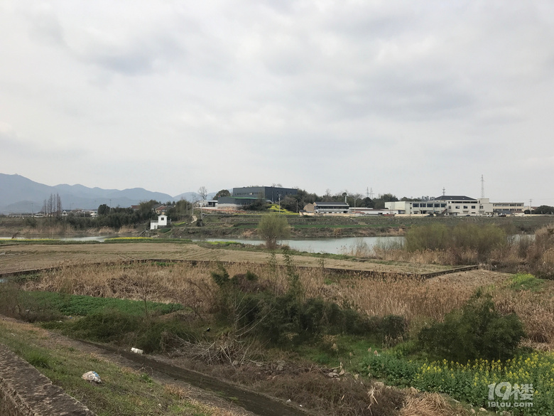 出來逛逛