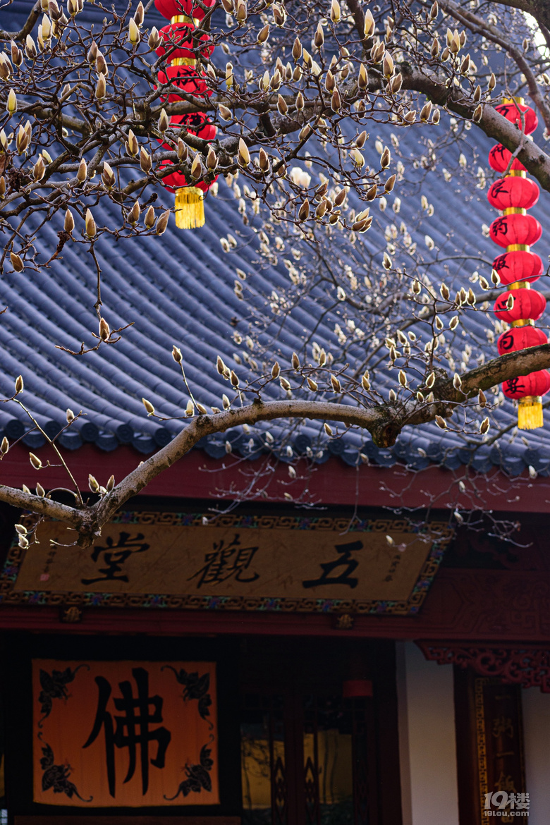 ºݻ硰ϲ500qmھ`