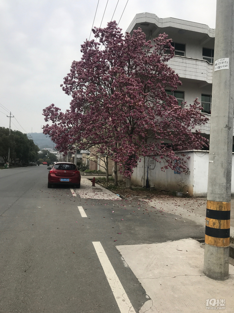老建筑