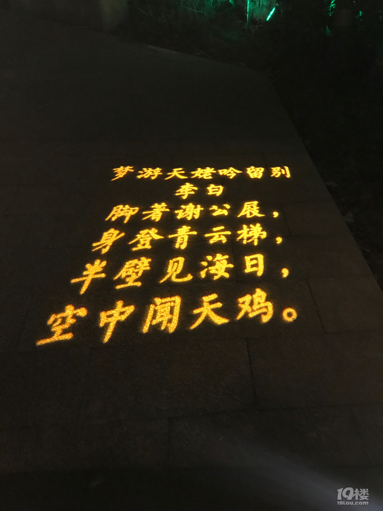 逛逛