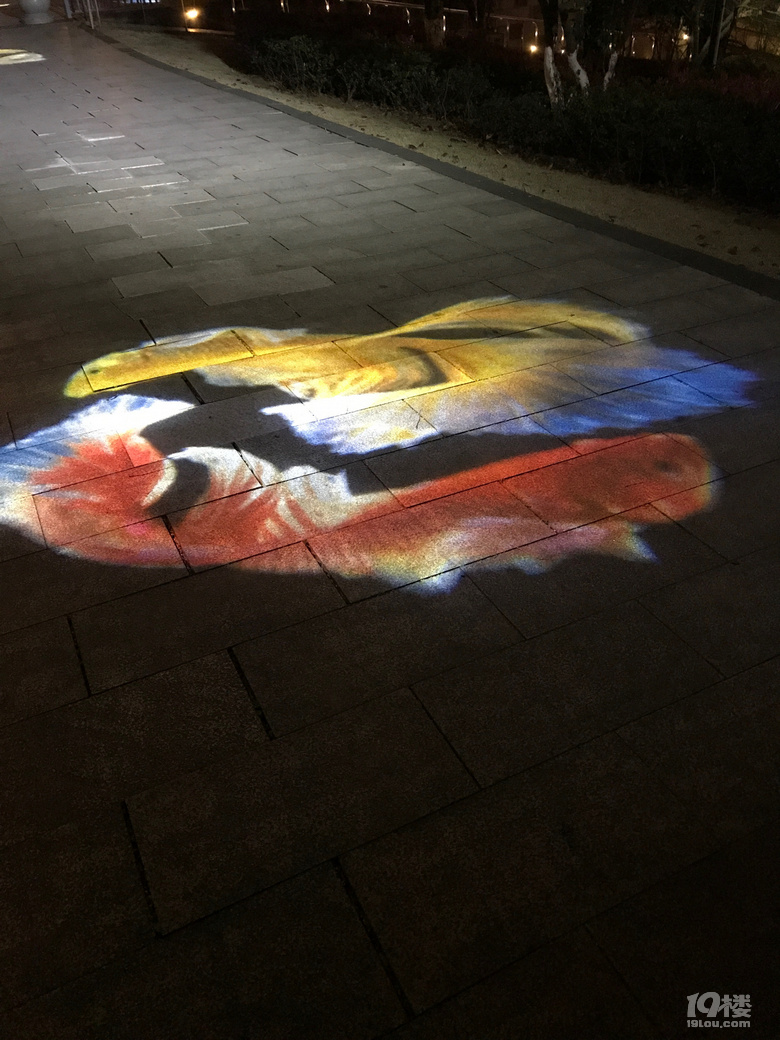 逛逛