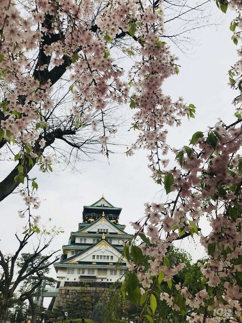 ѻ